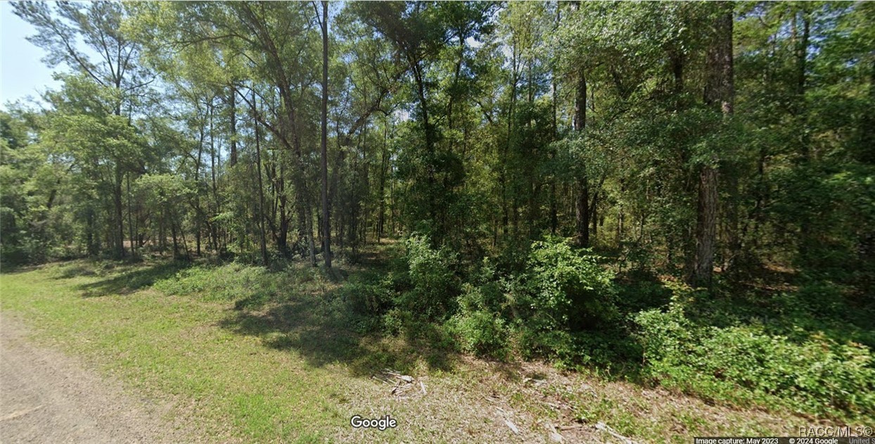 1507 E Derby Drive, Dunnellon, Florida image 1