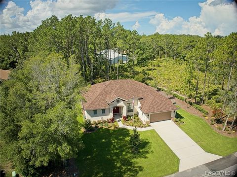 A home in Homosassa