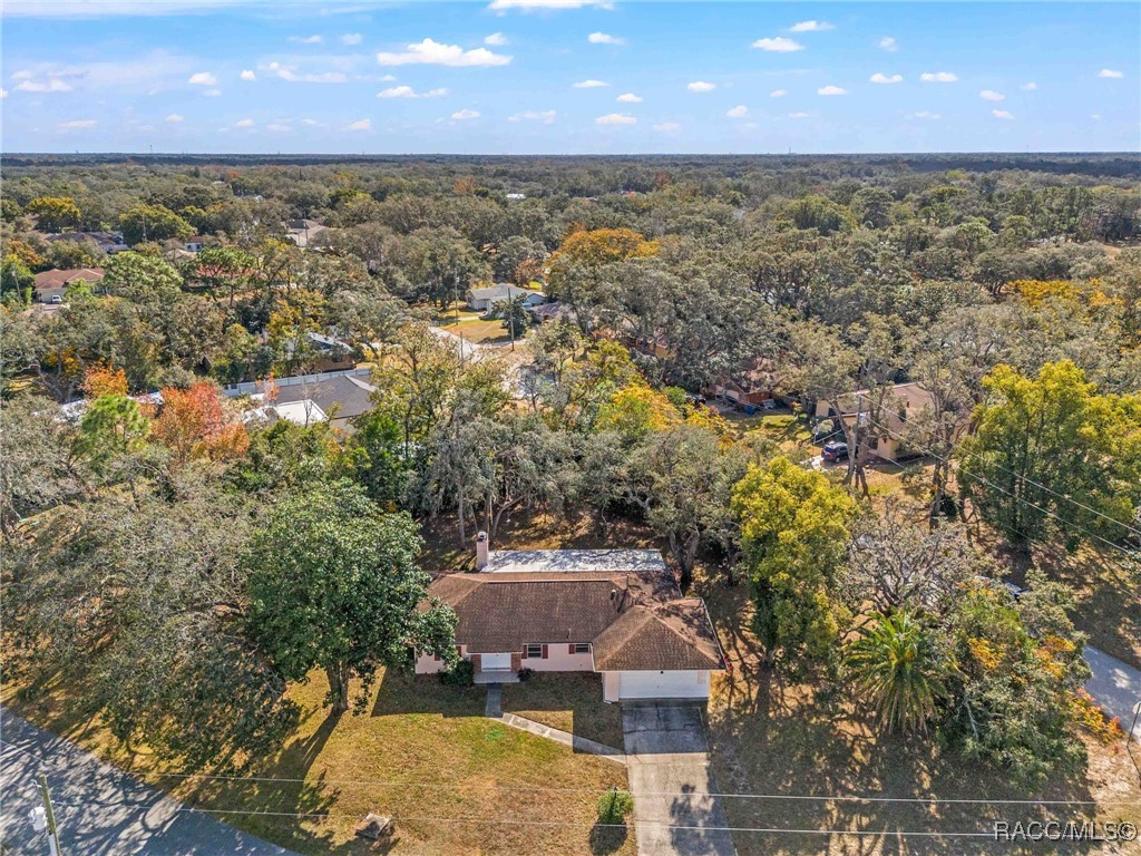 8290 Galgano Lane, Spring Hill, Florida image 40