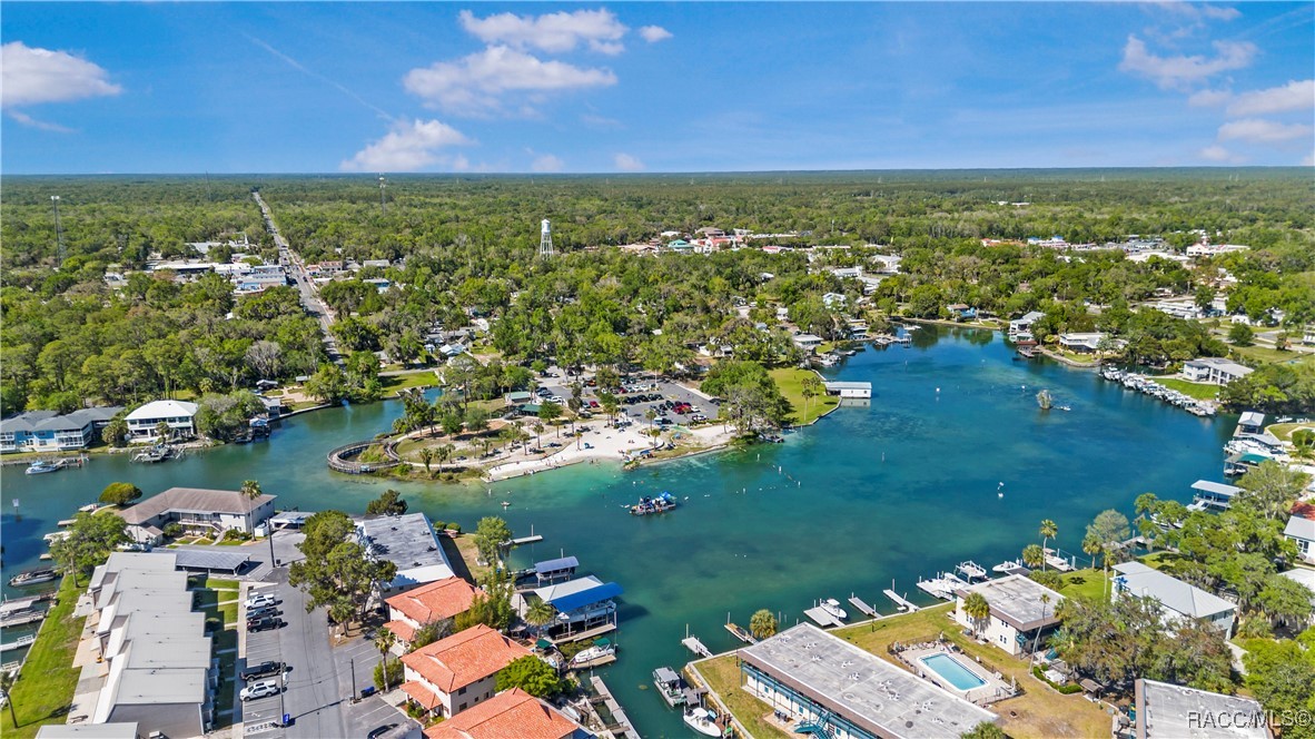 1203 SE Kings Bay Drive, Crystal River, New York image 47