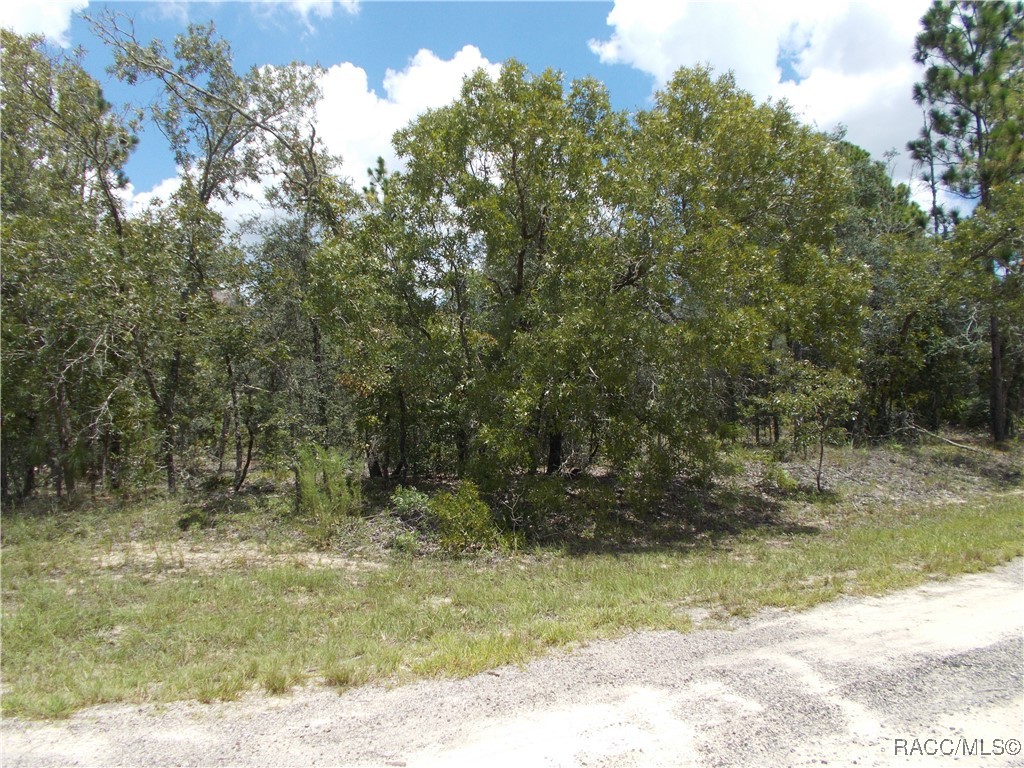 Citrus Springs, Florida 34434, United States, ,Land,Active,196067