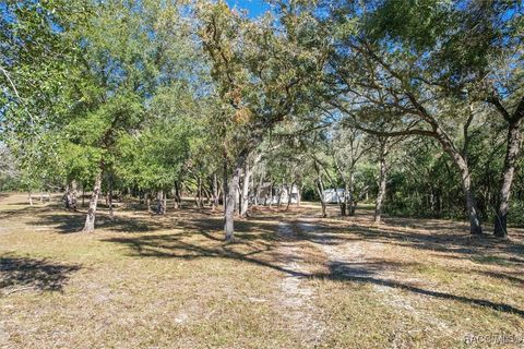 A home in Hernando