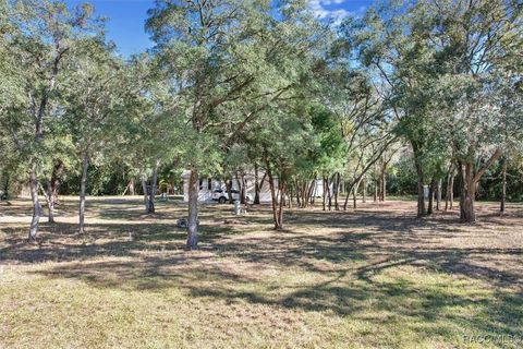 A home in Hernando