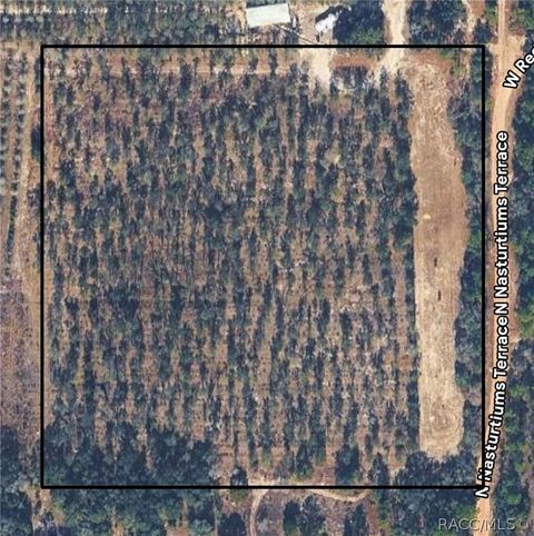 Vacant Land For Sale - 8308 N Nasturtiums Terrace<br/> Dunnellon, FL 34433