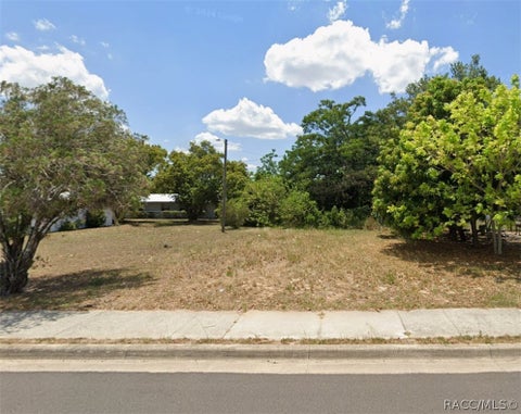 Vacant Land For Sale - 504 S Delaney Avenue<br/> Avon Park, FL 33825