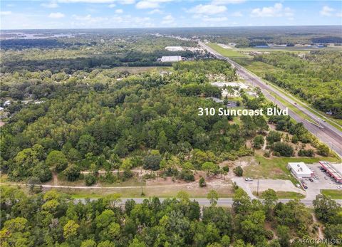 310 S Suncoast Boulevard Crystal River FL 34429