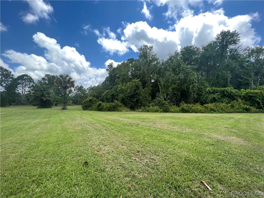 310 S Suncoast Boulevard, Crystal River, Florida image 8