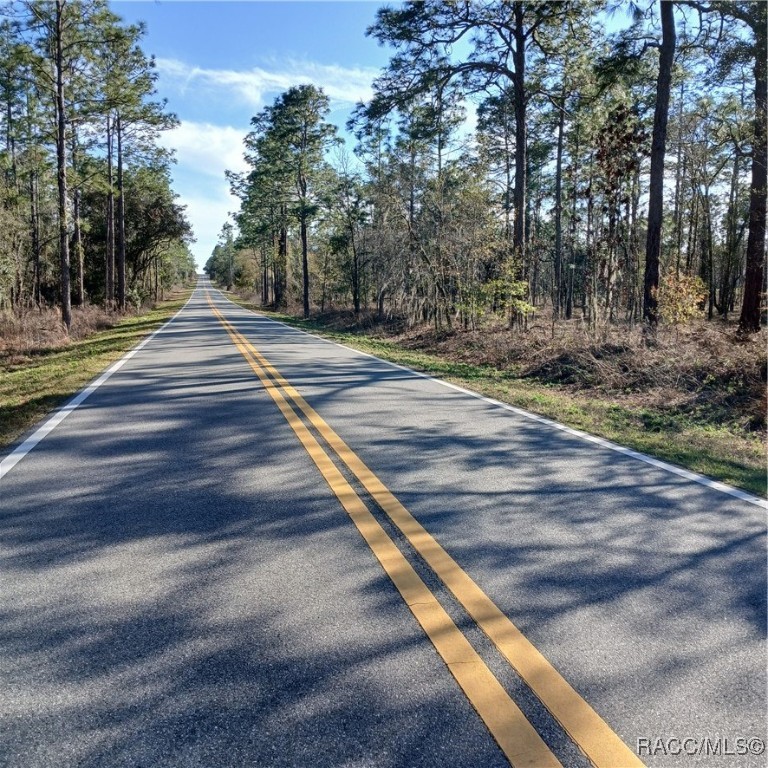 TBD NW Ridgewood Road, Dunnellon, New York image 6