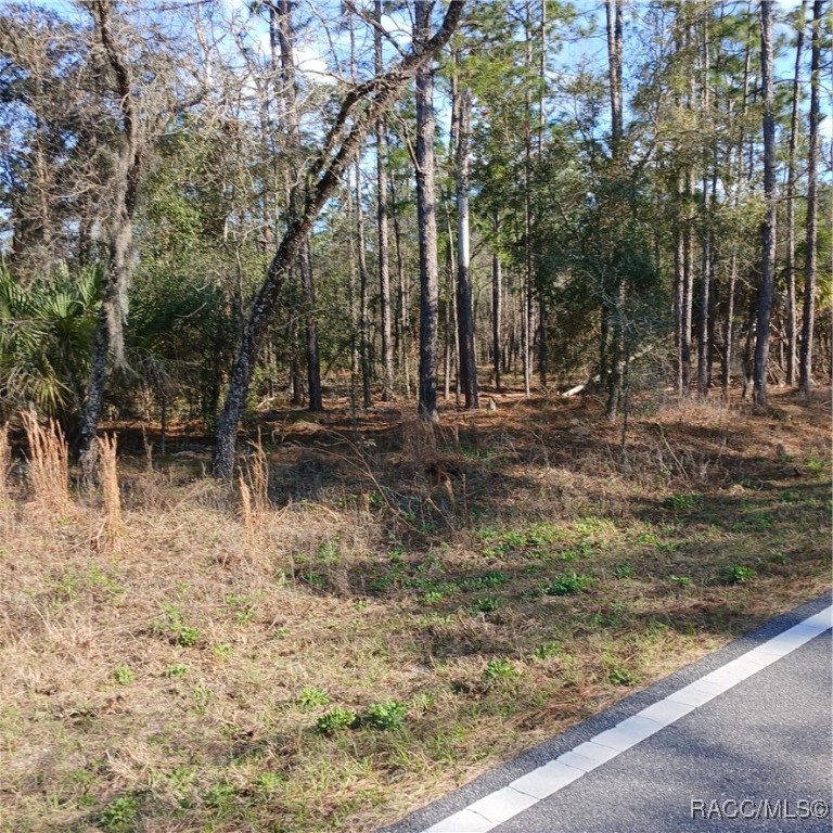 TBD NW Ridgewood Road, Dunnellon, New York image 9