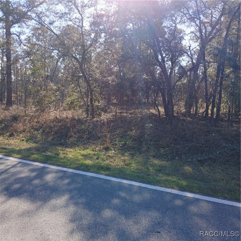 TBD NW Ridgewood Road, Dunnellon, New York image 4
