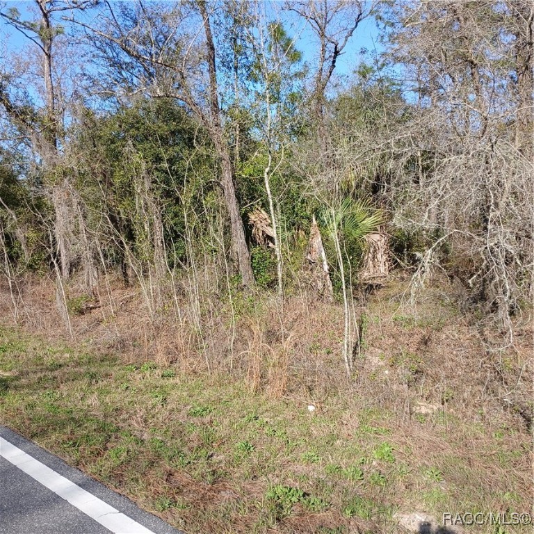TBD NW Ridgewood Road, Dunnellon, New York image 7