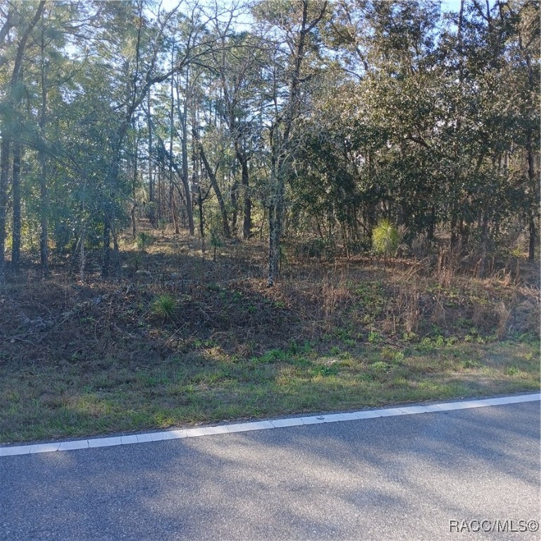 TBD NW Ridgewood Road, Dunnellon, New York image 1