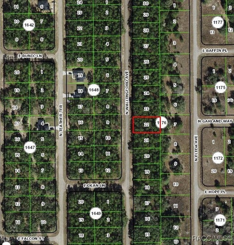 Vacant Land For Sale - 8645 N Wallingford Avenue<br/> Citrus Springs, FL 34434
