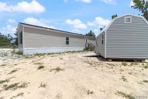 A home in Citrus Springs