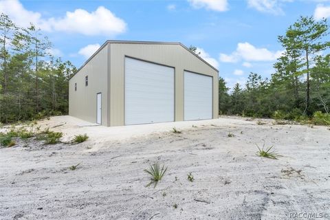 A home in Citrus Springs