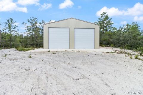 A home in Citrus Springs