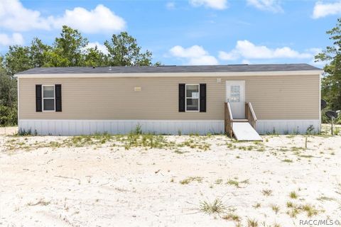 A home in Citrus Springs