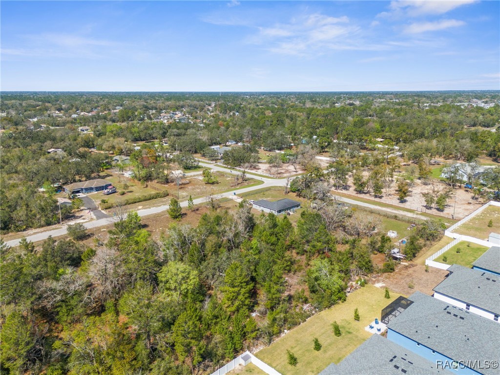 Carlton Street, Spring Hill, Florida image 7