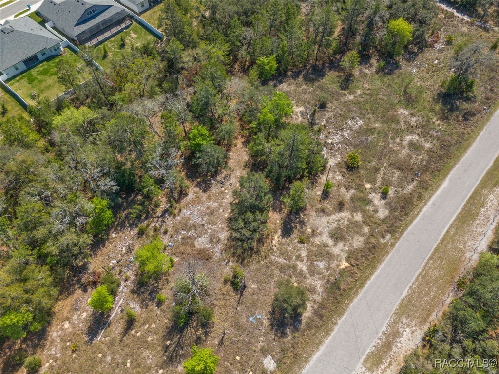 Carlton Street, Spring Hill, Florida image 9
