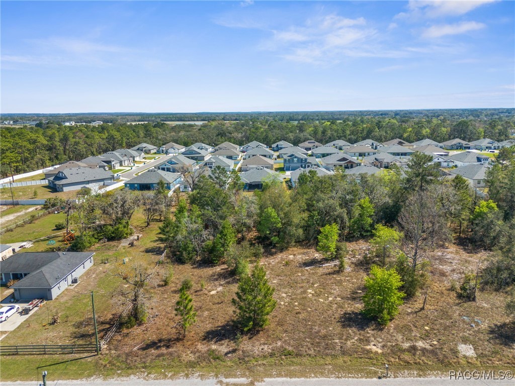 Carlton Street, Spring Hill, Florida image 2