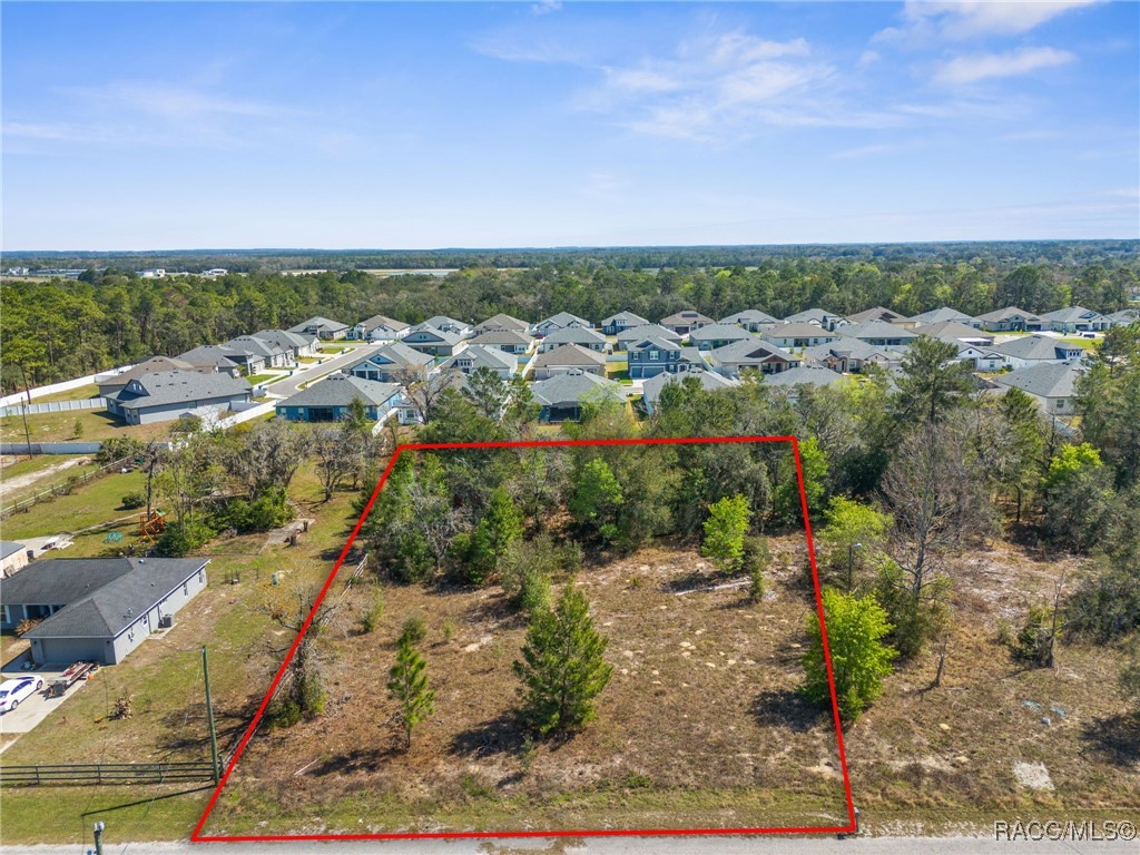 Carlton Street, Spring Hill, Florida image 1