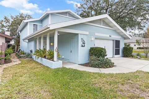 A home in Homosassa