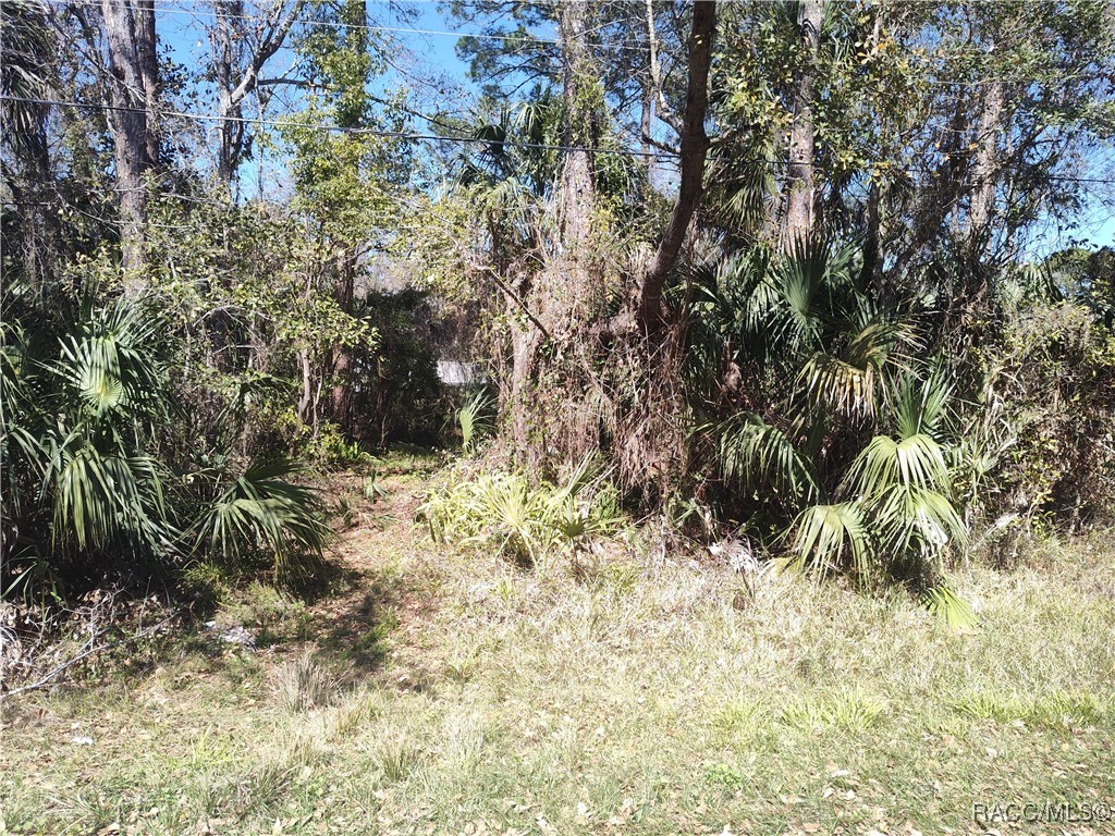 8213 W Ox Eye Place, Homosassa, Florida image 2