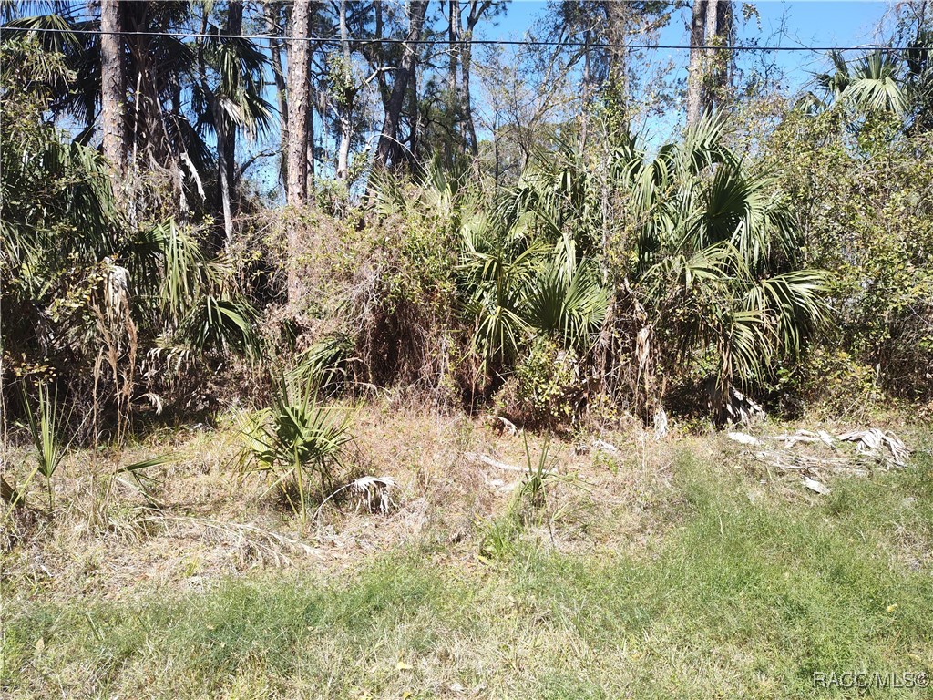 8213 W Ox Eye Place, Homosassa, Florida image 1