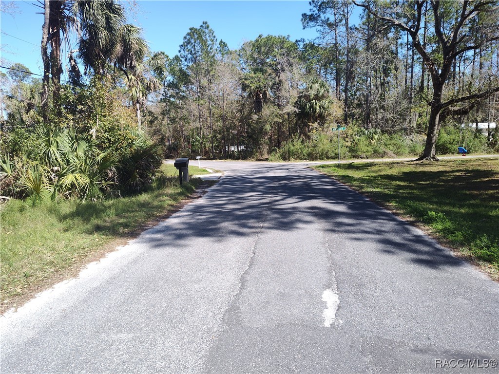 8213 W Ox Eye Place, Homosassa, Florida image 4