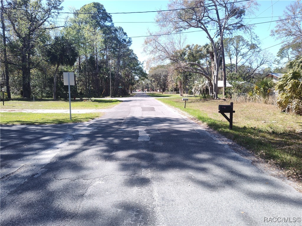 8213 W Ox Eye Place, Homosassa, Florida image 3