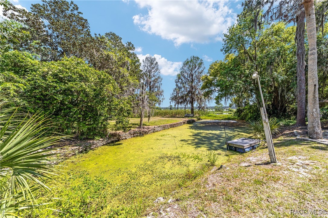 19171 SE 136th Court, Dunnellon, New York image 33