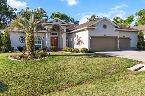 A home in Hernando