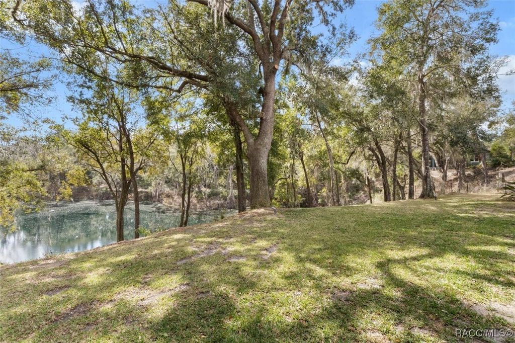 listing image 89