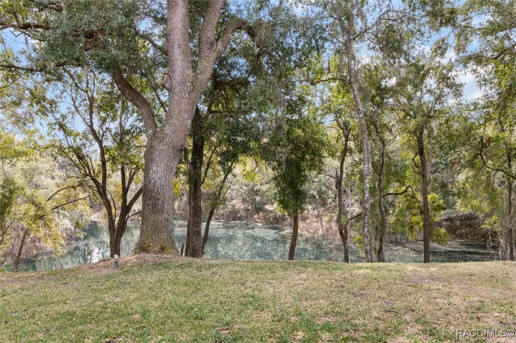 listing image 88