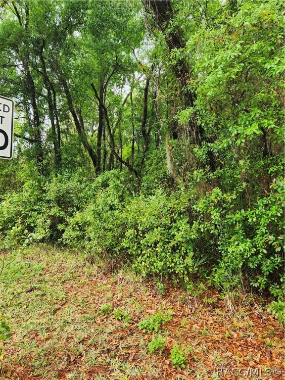 Highway 40 Highway, Yankeetown, Florida image 12