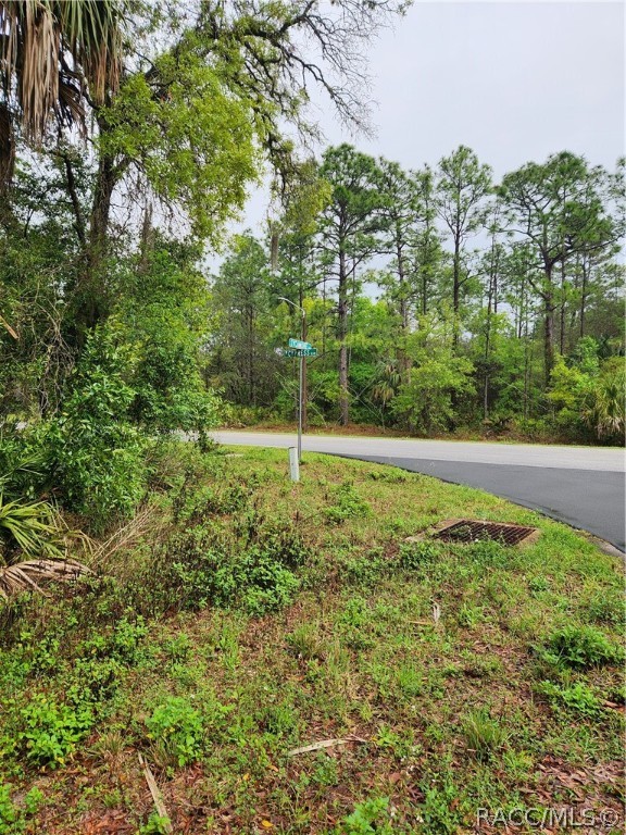 Highway 40 Highway, Yankeetown, Florida image 3