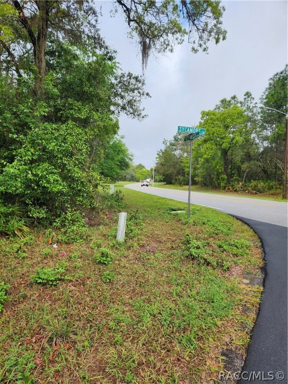 Highway 40 Highway, Yankeetown, Florida image 6