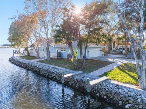 A home in Homosassa