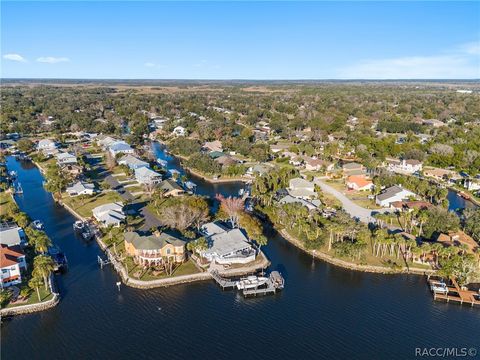 A home in Homosassa