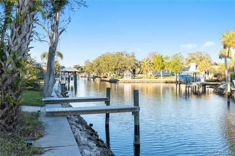 A home in Homosassa