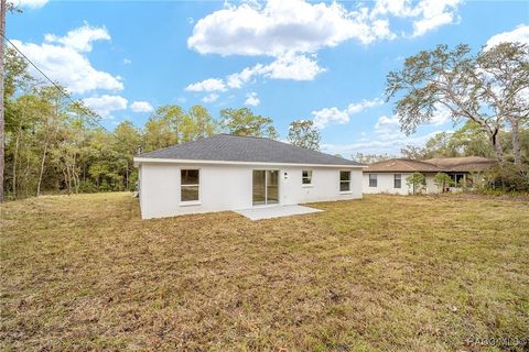 A home in Citrus Springs