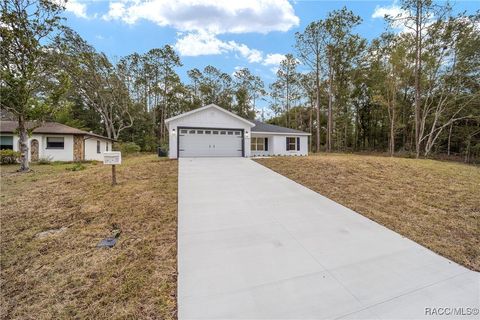 A home in Citrus Springs