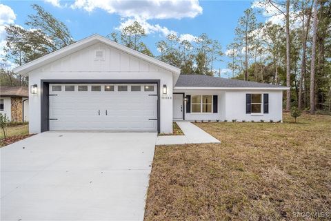 A home in Citrus Springs