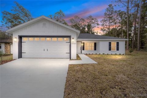 A home in Citrus Springs