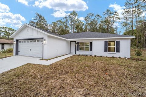 A home in Citrus Springs