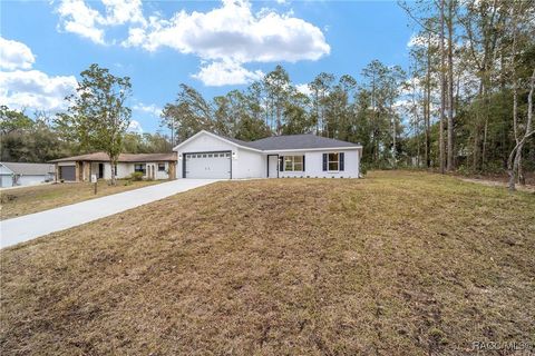 A home in Citrus Springs