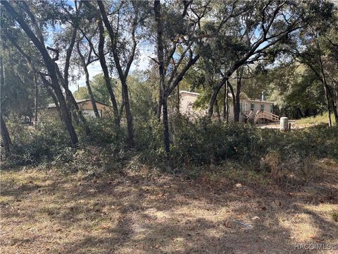 A home in Hernando