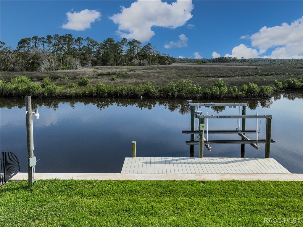 11729 W Coquina Court, Crystal River, New York image 9