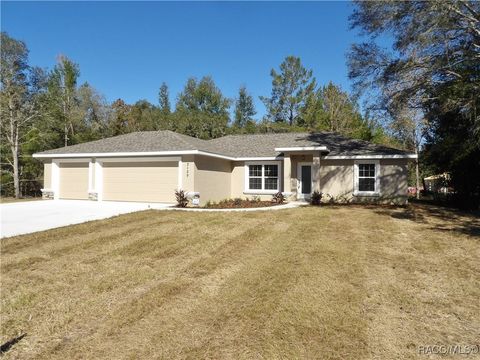 A home in Citrus Springs