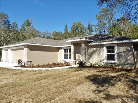 A home in Citrus Springs